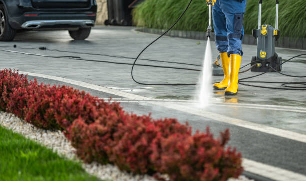 Best Roof Power Washing Services  in Byram, MS